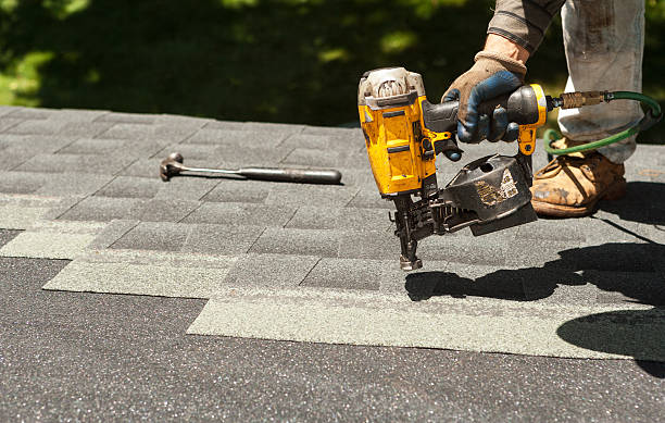 Quick and Trustworthy Emergency Roof Repair Services in Pine Island, MN