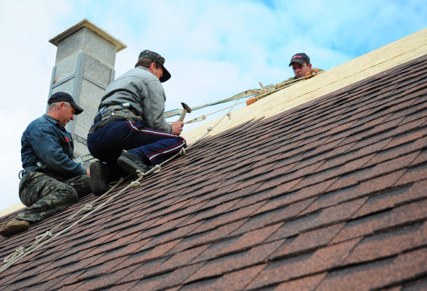 Quick and Trustworthy Emergency Roof Repair Services in Pine Island, MN
